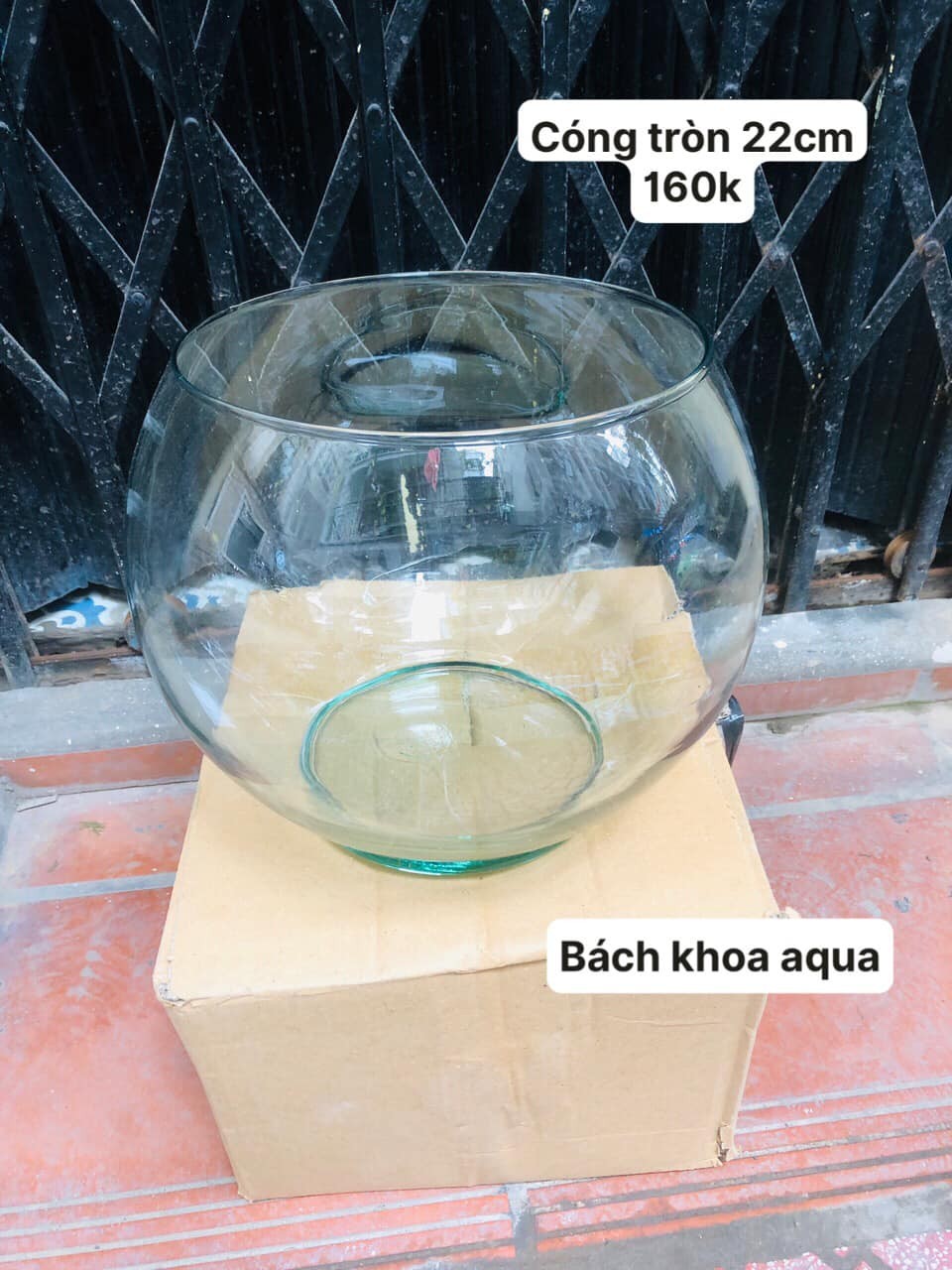 Cóng tròn để bàn đủ kích thước